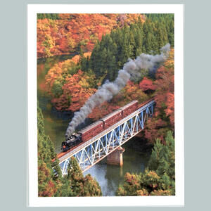 #0265  Train-Countryside 4x6 Version Glossy Photo Fast Ship